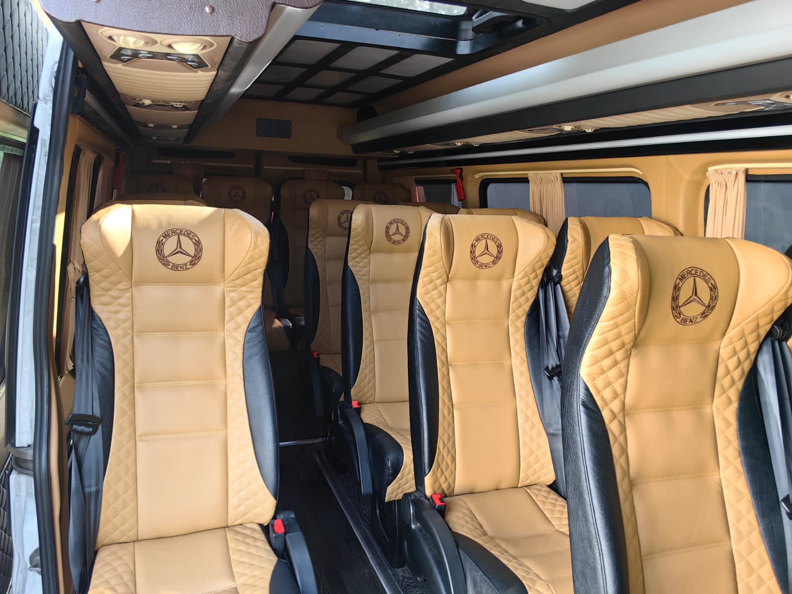 0ede82cc-d24f-4bfa-9a51-8f282b9a158b-2